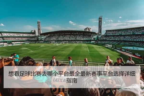 想看足球比赛去哪个平台最全最新赛事平台选择详细指南