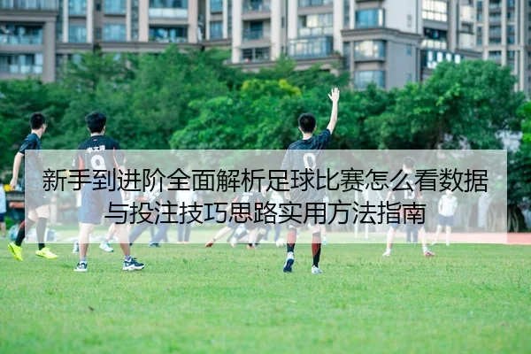 xin-shou-dao-jin-jie-quan-mian-jie-xi-zu-qiu-bi-sai-zen-me-kan-shu-ju-yu-tou-zhu-ji-qiao-si-lu-shi-yong-fang-fa-zhi-nan-3-363.jpg