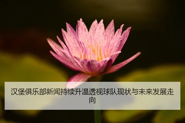 han-bao-ju-le-bu-xin-wen-chi-xu-sheng-wen-tou-shi-qiu-dui-xian-zhuang-yu-wei-lai-fa-zhan-zou-xiang-2-321.jpg